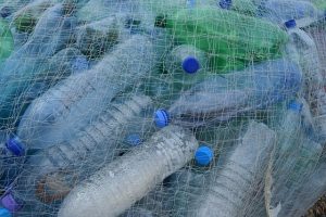 What led to the single-use craze?