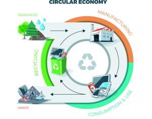 Comparing circular and linear economy showing product life cycle. Natural resources are taken to manufacturing. After usage product is recycled or dumped. Vector illustration on white background. Waste recycling management concept.
